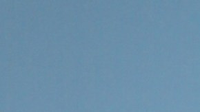 William Levy, actor cubano.