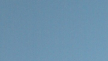 William Levy, actor cubano.