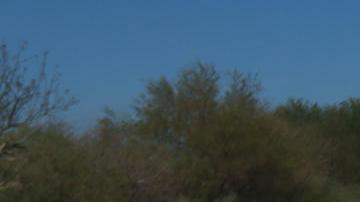 Migrantes permanecen en carpas improvisadas en las inmediaciones de la frontera con Estados Unidos, el 31 de marzo de 2024, en Ciudad Juárez, Chihuahua (México).