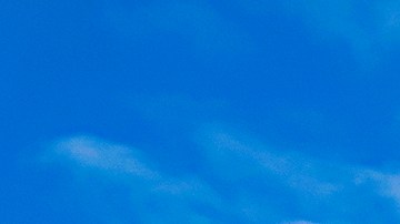 aldi-vende-carne-barata