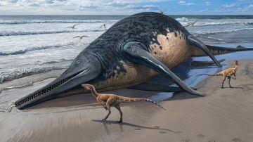 ictiosaurio gigante