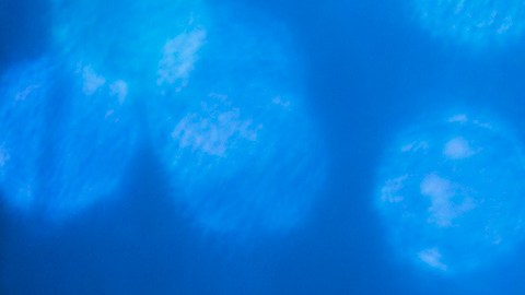 bitcoin-precio-2025-1-millon-de-dolares