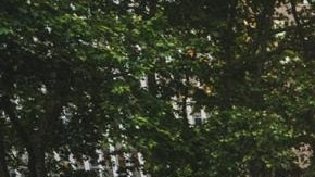 El evento "Salsa Soul Sizzle: Salsa and R&B with Uptown Royalty"arrancará la temporada.