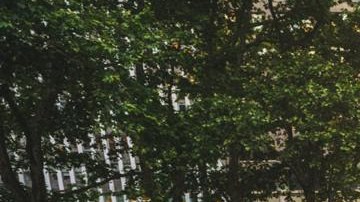 El evento "Salsa Soul Sizzle: Salsa and R&B with Uptown Royalty"arrancará la temporada.