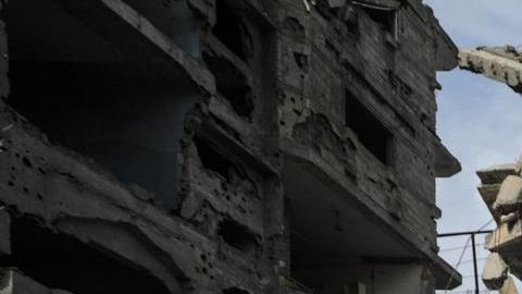 El Consejo debe crear un comité formado por todos sus miembros