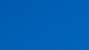 Dollar Tree siempre es una buena opción para encontrar productos a precios accesibles.