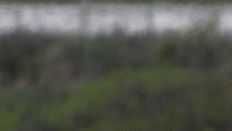 Personal del Instituto Nacional de Migración (INM) realiza detenciones de migrantes, el 20 de abril de 2024, en Ciudad Juárez, Chihuahua (México).