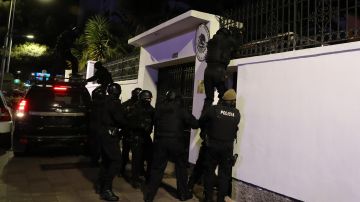 Integrantes de un cuerpo élite de la Policía ecuatoriana irrumpen en la Embajada de México para detener al exvicepresidente Jorge Glas, condenado por corrupción, y a quien se le fue negado el asilo político, este viernes en Quito (Ecuador).