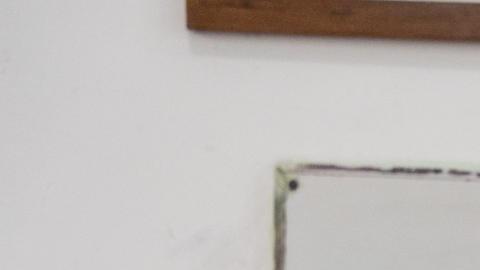 Daniel Noboa gana nueve de las 11 preguntas de su plebiscito en Ecuador con 10% escrutado