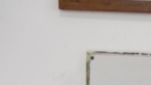 Daniel Noboa gana nueve de las 11 preguntas de su plebiscito en Ecuador con 10% escrutado