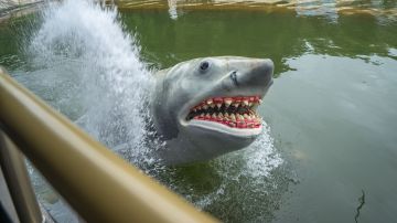 loteria-massachusetts-tiburon-jaws-1-millon