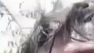 Niño venezolano de 4 años rescatado por migrante ecuatoriano en el Darién ya está con su madre