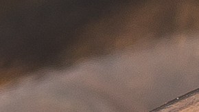 numismatica-monedas-1-centavo-valiosas