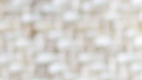 Semillas de calabazas