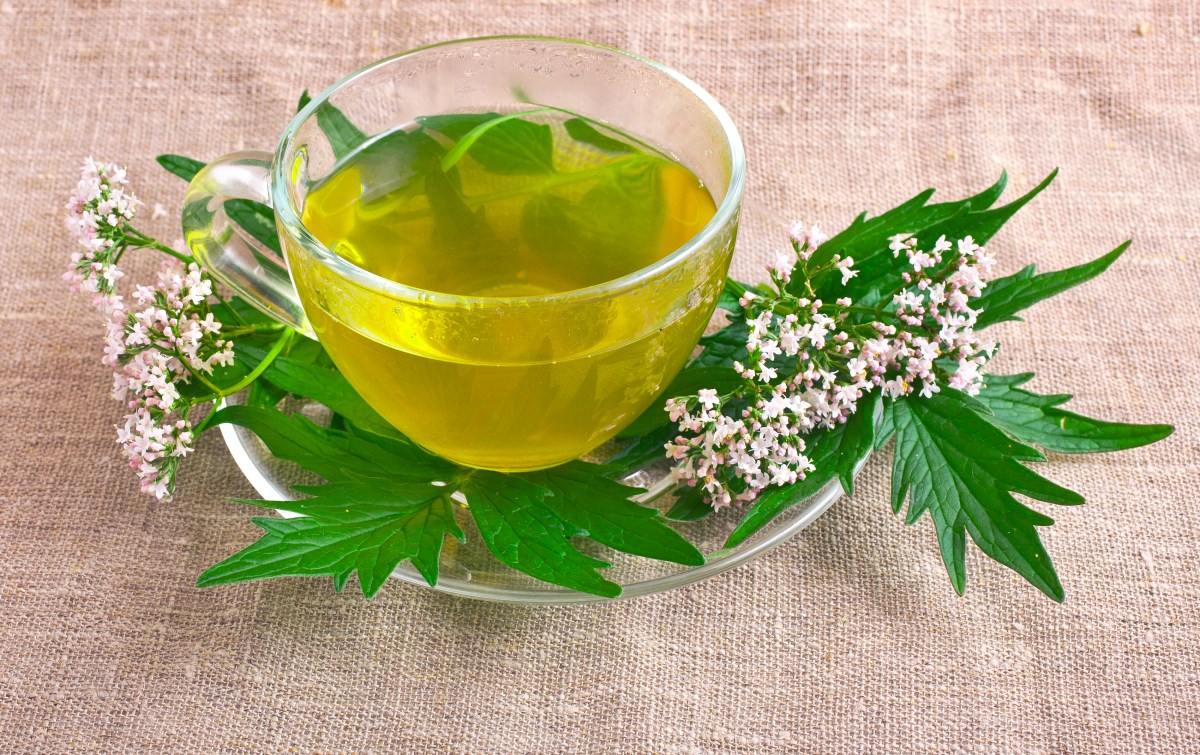 Descubre los poderes de la valeriana: ayuda a conciliar el sueño y a la relajación