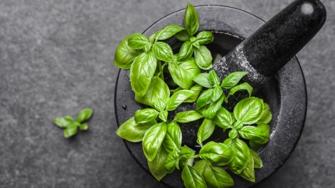 Albahaca
