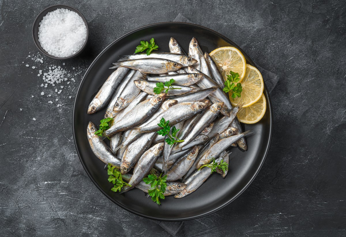 3 razones para preferir comer pescados pequeños, según estudio de Harvard