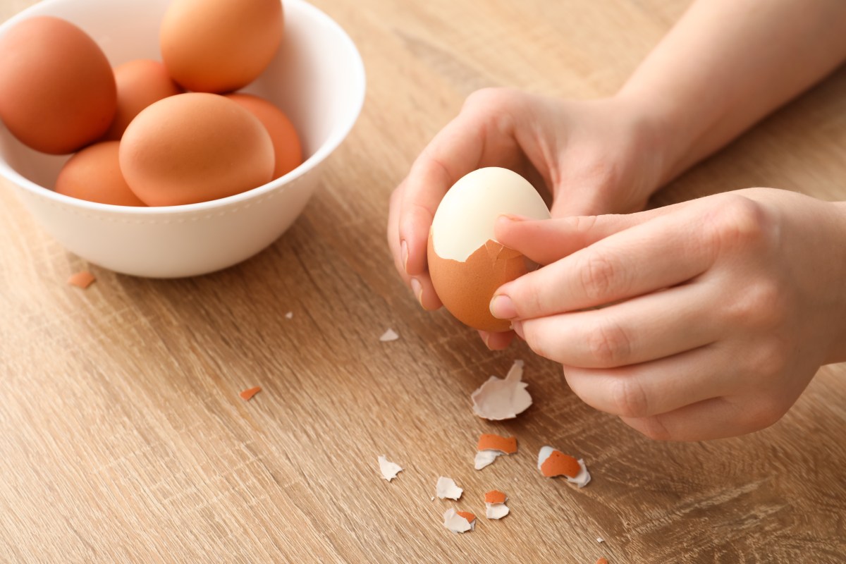 Aprenda a manipular los huevos de manera segura y evite intoxicaciones alimentarias