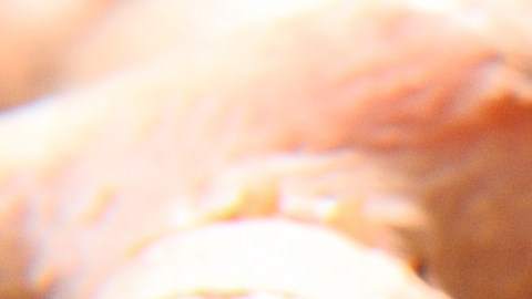 Cúrcuma y canela