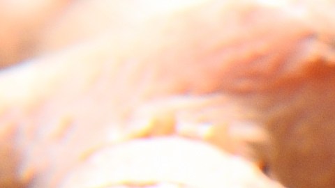 Cúrcuma y canela