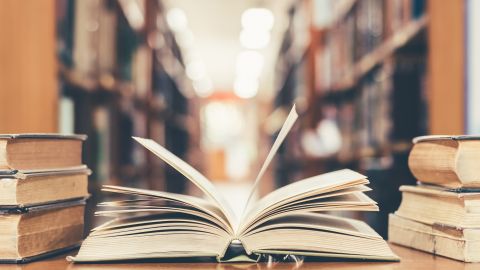 Como escritores, nuestra misión va más allá de simplemente contar historias; es esencialmente humanista, buscando iluminar, educar y, en última instancia, conectar