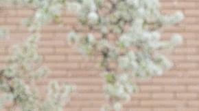 anuncian cambios en el sistema de estacionamiento en NYC