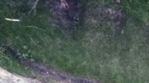 Puertorriqueños tras huracán María