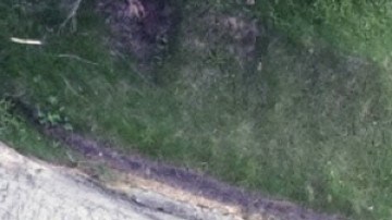 Puertorriqueños tras huracán María