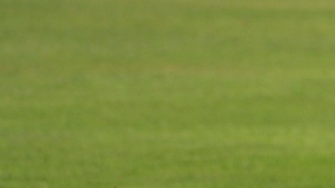 La futbolista Florencia Guiñazú fue asesinada por su esposo en Argentina.