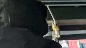 Casi 1 millón de niños de NY viven en la pobreza