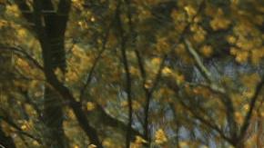 Peritos forenses trabajan en la zona donde fue encontrado un migrante sin vida.