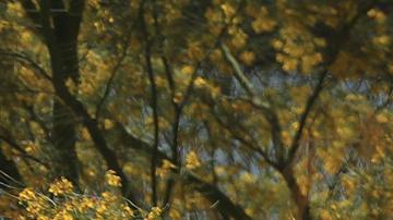 Peritos forenses trabajan en la zona donde fue encontrado un migrante sin vida.