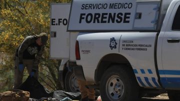 Peritos forenses trabajan en la zona donde fue encontrado un migrante sin vida.
