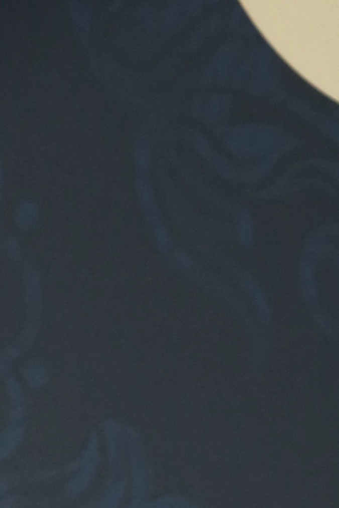 Daddy Yankee posando.