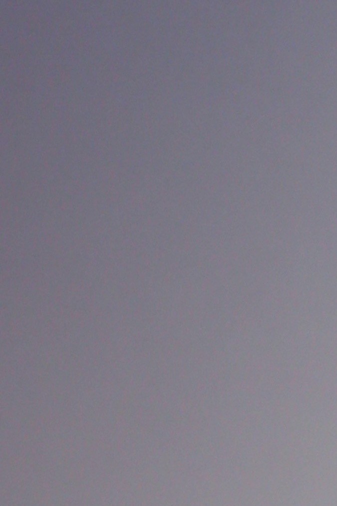 Fue el pasado 2 de mayo cuando María Celeste Arrarás dio a conocer la lamentable partida física de Raúl Quintero.