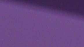 Daddy Yankee posando.