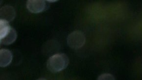 Dayanara Torres posando.