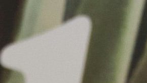 Guty Carrera está cansado.