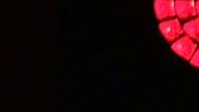 La banda RBD rompió el silencio sobre el supuesto fraude.