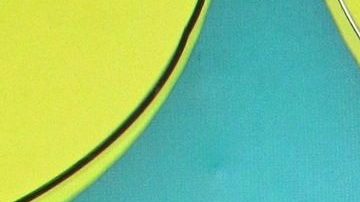 Maribel Guardia explica que ya tiene el lugar donde reposarán las cenizas.