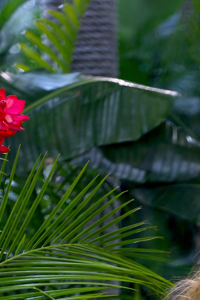 Sofía Vergara posando.