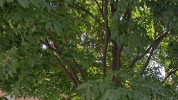 Spring Street Park, SoHo, Nueva York.