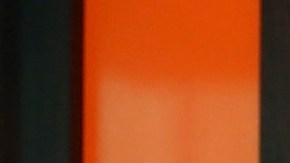 En octubre del año pasado Carlos Adyan y Carlos Quintanilla se casaron por civil en Miami, Florida.