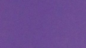 Thalía posando en la alfombra roja de los Latin AMA 2024.