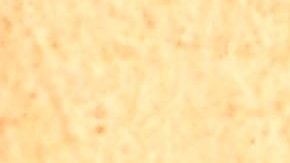 Alfonso Cuarón y Guillermo del Toro posando.