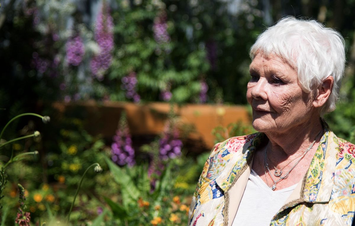 Judi Dench no cree que pueda volver a actuar debido a su enfermedad ocular