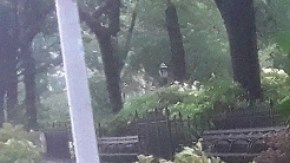 Fuertes lluvias y ráfagas de viento en Nueva York/Archivo.