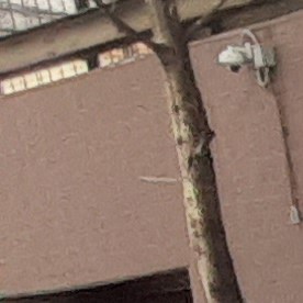 Patrulla escolar de NYPD.