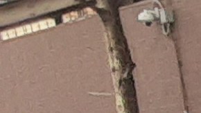 Patrulla escolar de NYPD.