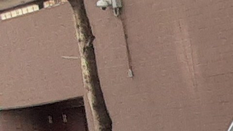 Patrulla escolar de NYPD.